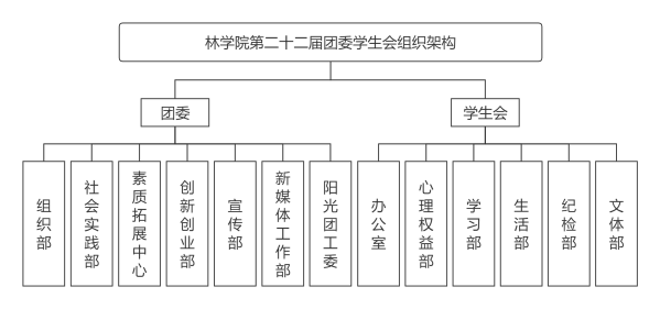伟德国际1946源于英国第二十二届团委学生会组织架构.png